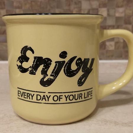 Enjoy Apartment Тимишоара Екстериор снимка