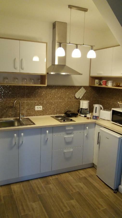Enjoy Apartment Тимишоара Екстериор снимка