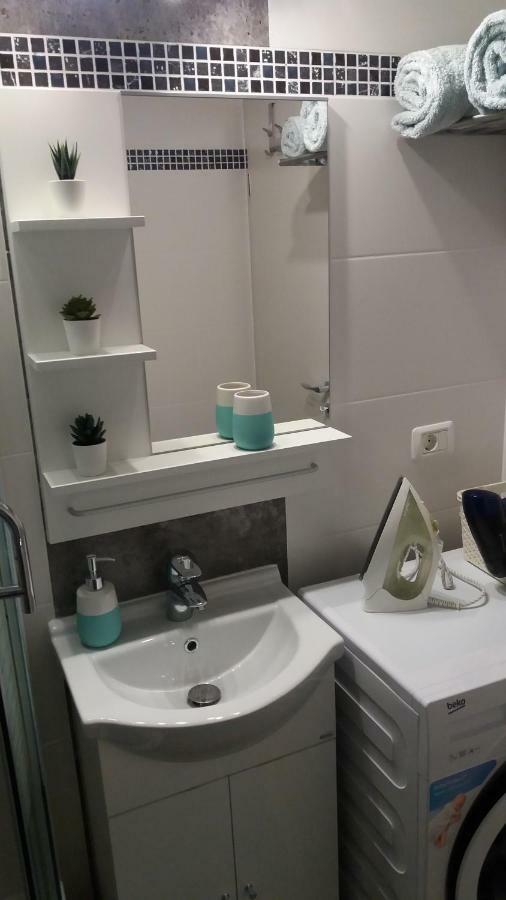 Enjoy Apartment Тимишоара Екстериор снимка