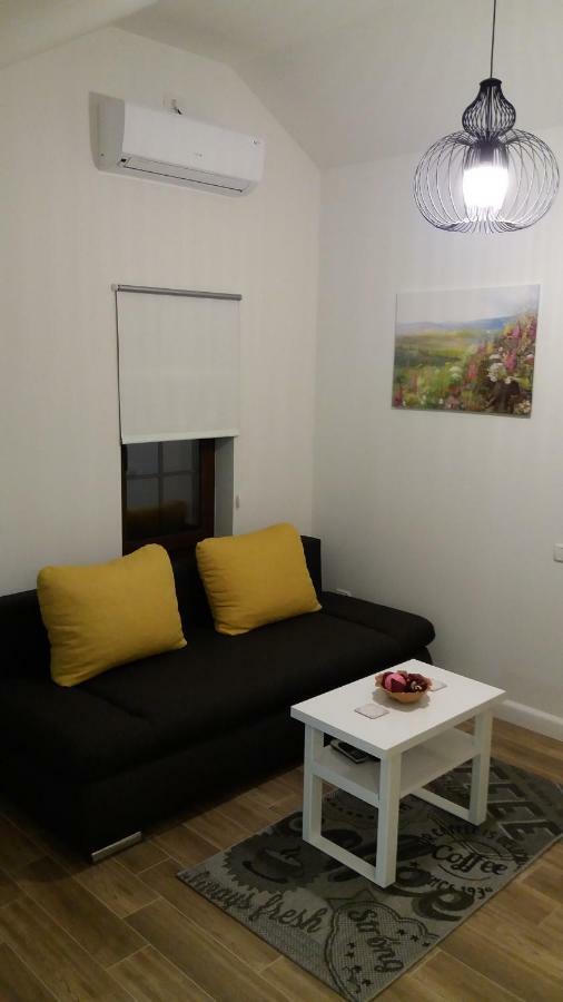 Enjoy Apartment Тимишоара Екстериор снимка