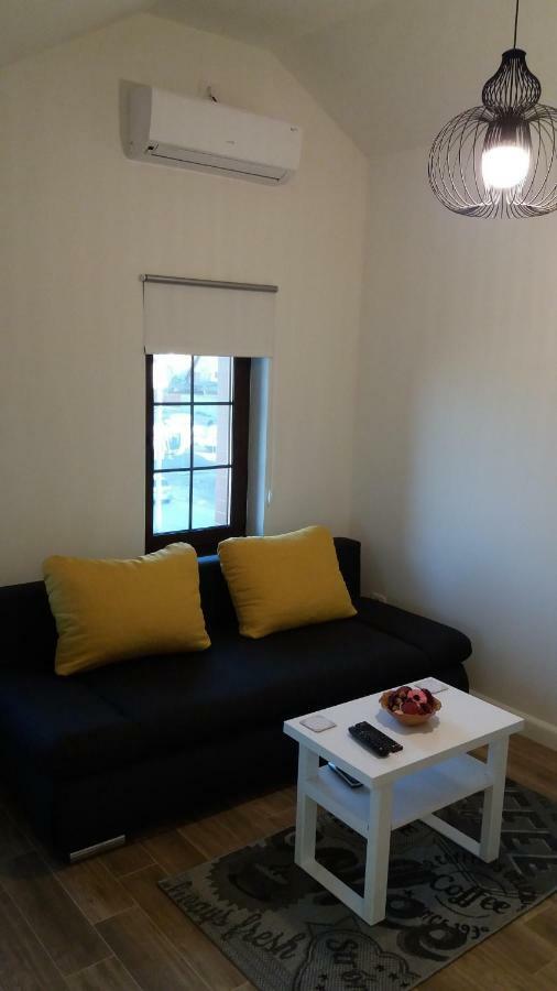 Enjoy Apartment Тимишоара Екстериор снимка
